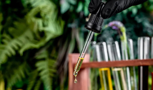 Oltra Balm's Natural Relief A Deep Dive into Ingredients