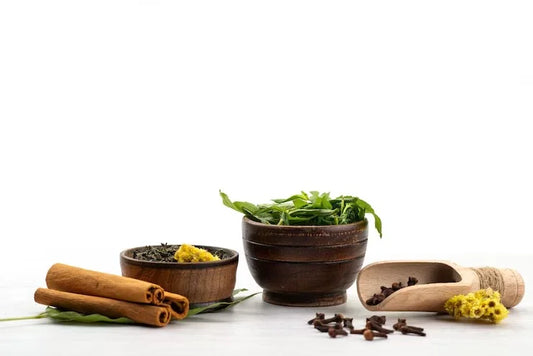 The History and Benefits of Plant-Based Pain Relief Remedies